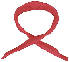  Whites Neckerchief Red 
