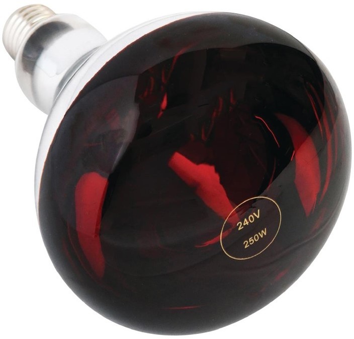  Gastronoble 250W Heat Lamp Bulb Red ES 