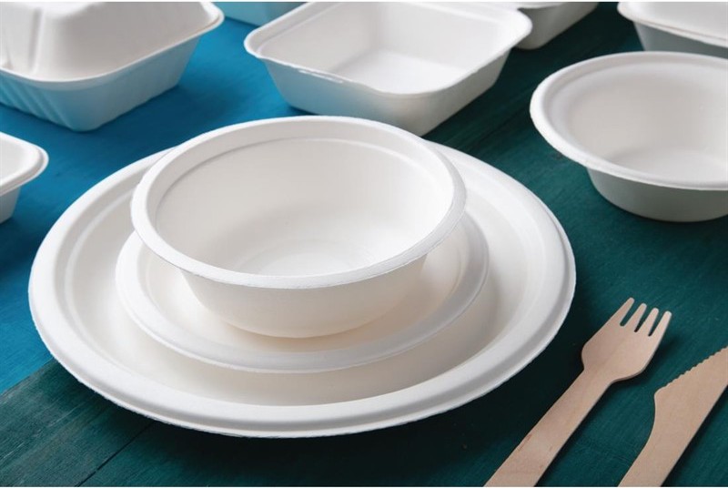  Fiesta Green Compostable Bagasse Plates Round 260mm (Pack of 50) 