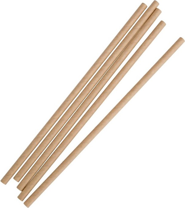  Fiesta Compostable Paper Straws Kraft (Pack of 250) 