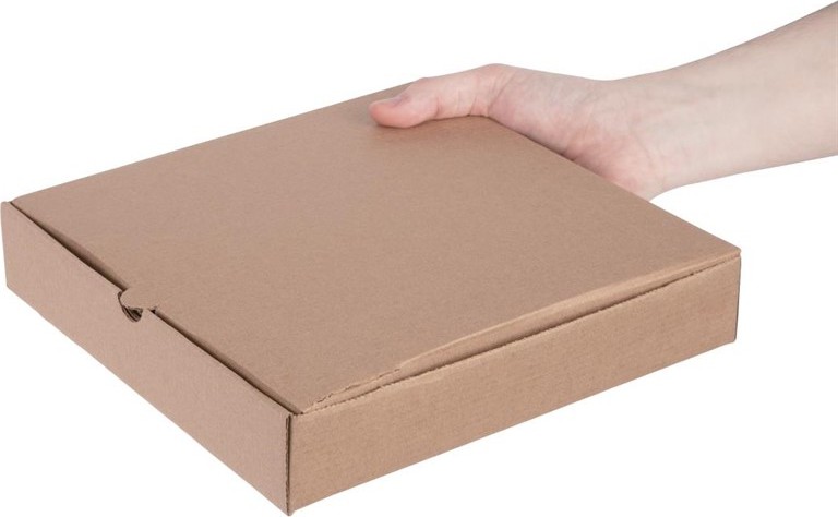  Fiesta Green Compostable Plain Pizza Boxes 9" (Pack of 100) 