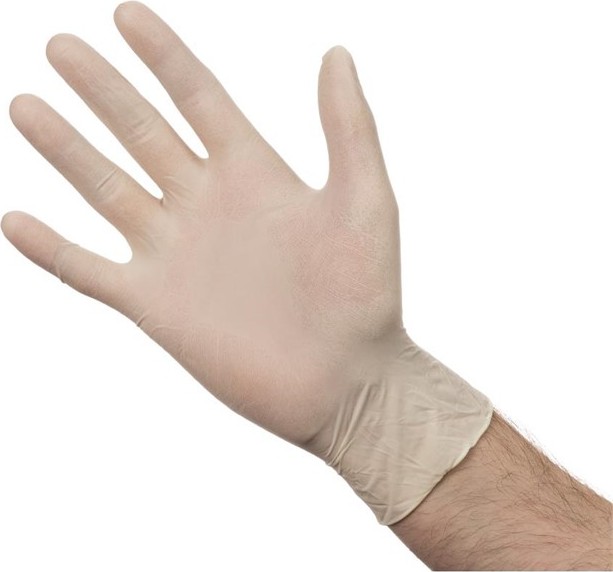  Gastronoble Powder-Free Latex Gloves L (Pack of 100) 