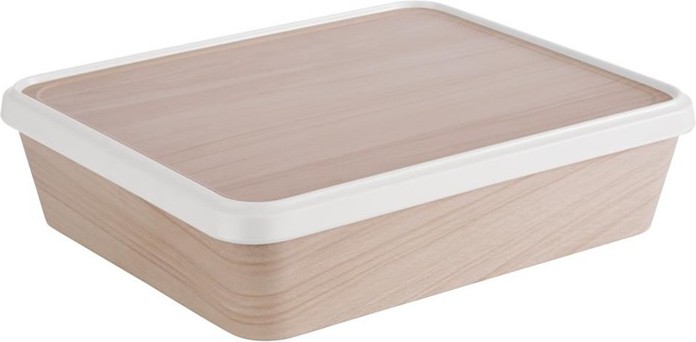  APS Bento Box 300 x 250mm 